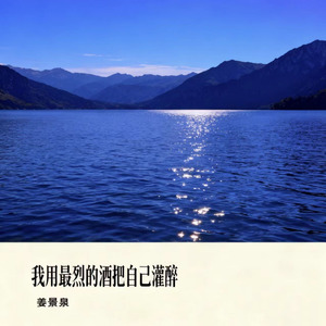 我用最烈的酒把自己灌醉