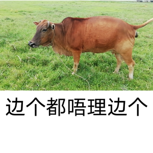 打破宁静