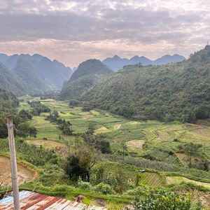 女人花(女人花摇曳在红尘中)