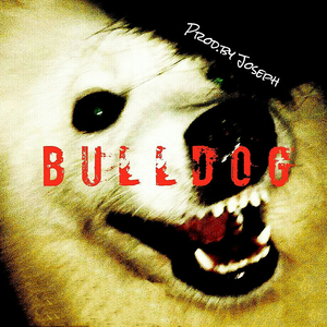 B U L L D O G