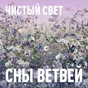 Чистый свет