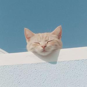 到时说爱我 (大头针版)