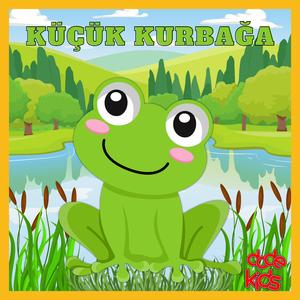 Küçük Kurbağa
