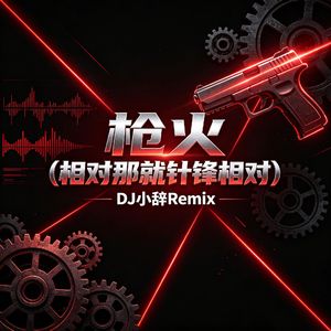枪火（DJ小辞Remix版）