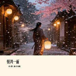 惊鸿一面