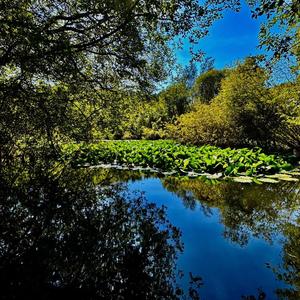 You Make Life Worth Living