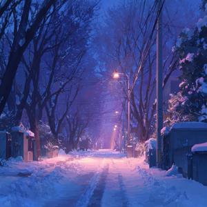 Winter Night Breeze