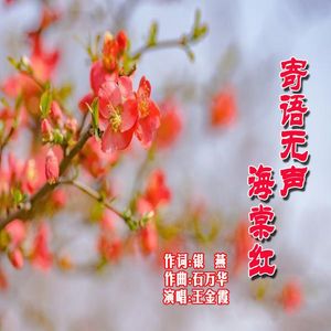 寄语无声海棠红