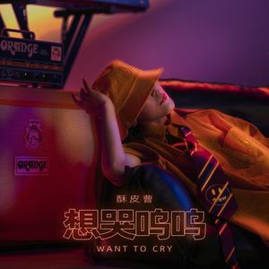 想哭呜呜 (伴奏)