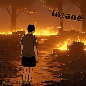 INSANE (feat. Fnm_sj)