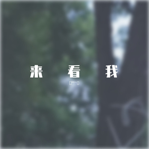 来看我