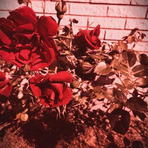 Högklackad nattmara