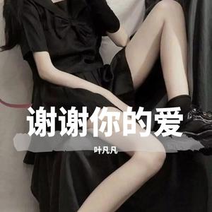 谢谢你的爱(DJ叶凡凡版)