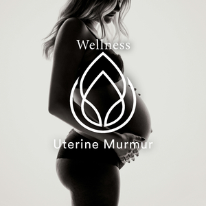 Uterus Noise