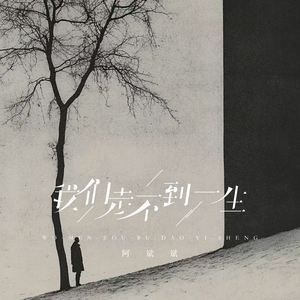 我们走不到一生
