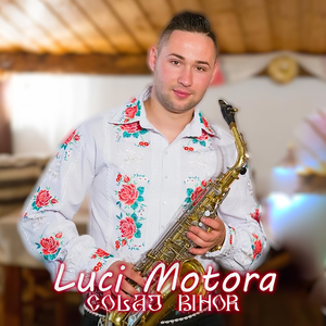 Colaj Bihor