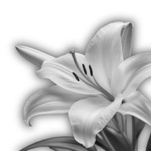 200