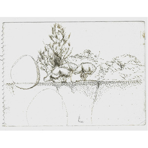 Chacarera de Morrissey