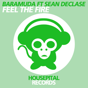 Feel the Fire (Feat. Sean Declase)