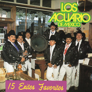 Ni Todo el Amor, Ni Todo el Dinero