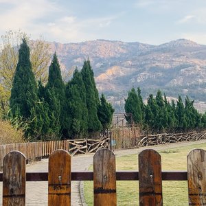 如果有一天我找不到你