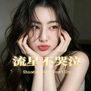 流星不哭泣 伴奏