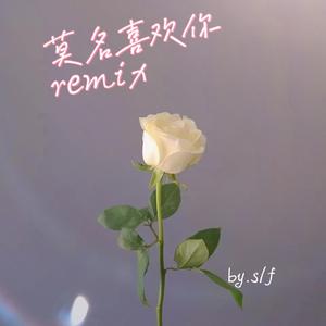莫名喜欢你remix (feat. fantasyhu) Prod.by FaunmU&Charon