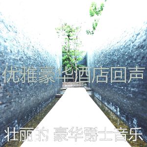 一尘不染鸡尾酒吧印象数