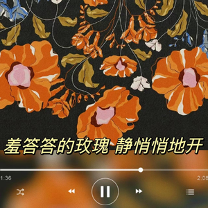 羞答答的玫瑰静悄悄地开