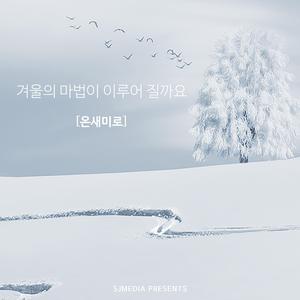 겨울의 마법이 이루어 질까요