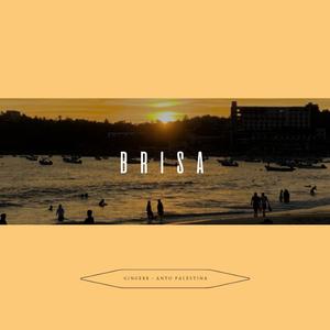 Lova' (feat. Gingerr & Antonio Palestina)