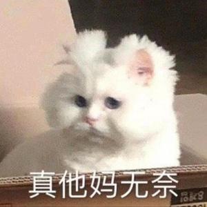 解释