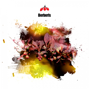 Epigenetic (Original Mix)