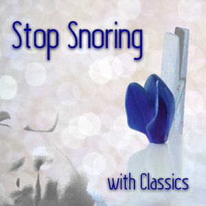 Sonata for Piano No. 4 in E-Flat Major, K. 282: I. Adagio (Wood Quartet Version)