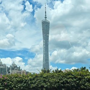 我们像候鸟 错过了季节