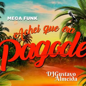 MEGA FUNK ACHEI QUE ERA PAGOGE