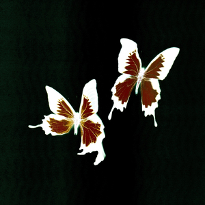 Mt. Airy (Nuovo Testamento Remix)