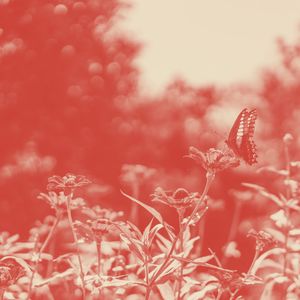 有趣河流与溪流情怀