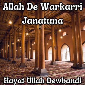 Allah De Warkarri Janatuna