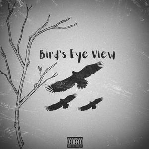 B.E.V.