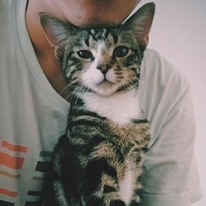 张叶蕾-普 通 朋 友（U N K N O W. T E N S remix）