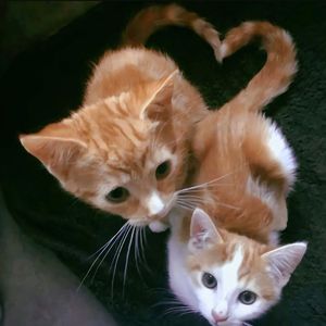 【FREE】"江湖救赎"SASI X ___ Type beat