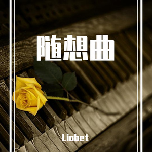夜的随想曲