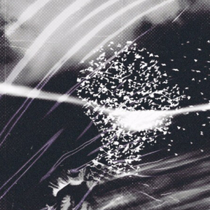 About Us (Instrumental)