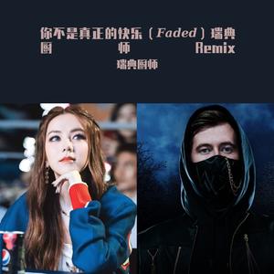 Andres Espinosa-你不是真正的快乐-Faded - 完整版（瑞典厨师 remix）