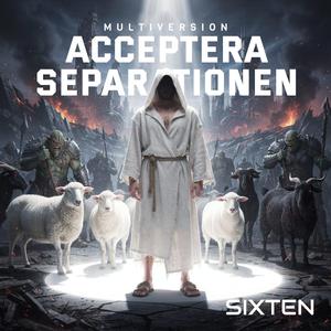 Acceptera Separationen (Power Version)