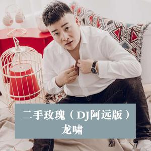 二手玫瑰 (DJ版)