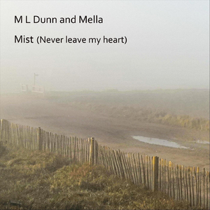 Mist (Never Leave My Heart)