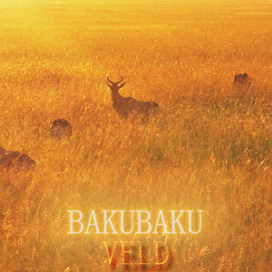 Bakubaku-Veld(Original Mix)