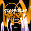 DJ Shadow ZN - Slide Sonoridade Melódica 2 (Slowed)